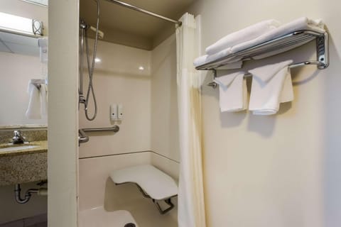 Room, 2 Double Beds, Accessible, Non Smoking (Roll-In Shower) | Iron/ironing board, free cribs/infant beds, rollaway beds, free WiFi