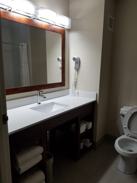 Combined shower/tub, free toiletries, hair dryer, towels