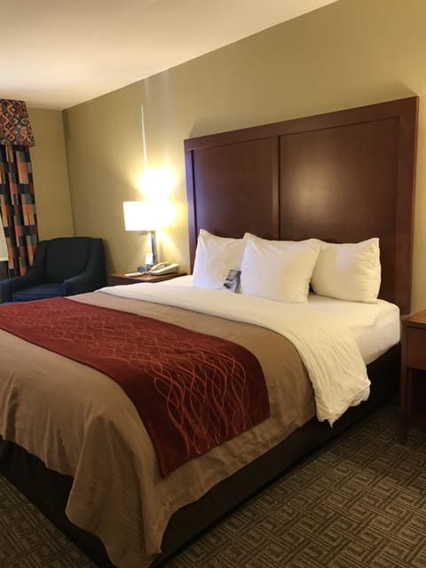 Standard Room, 1 King Bed, Non Smoking | Room amenity