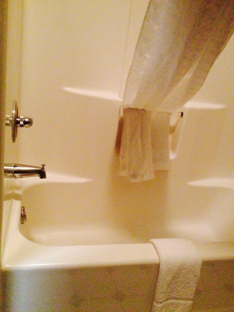 Combined shower/tub, free toiletries, hair dryer, towels