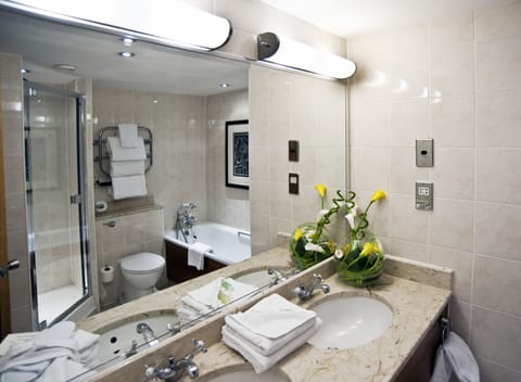 Deluxe Suite | Bathroom | Free toiletries, hair dryer, towels