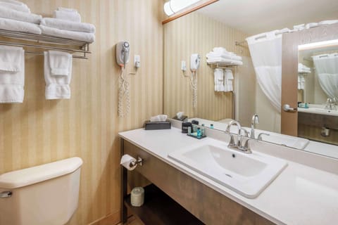 Combined shower/tub, free toiletries, hair dryer, towels