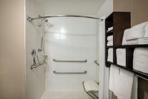 Room, 1 King Bed, Accessible, Non Smoking | Bathroom shower