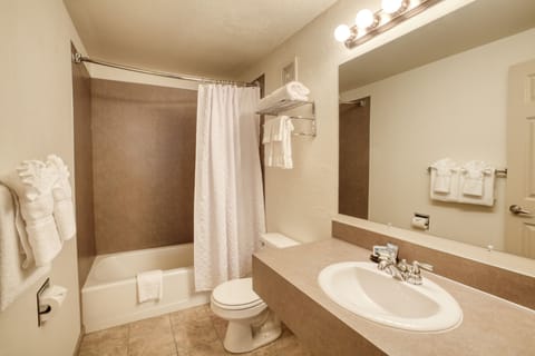 Combined shower/tub, eco-friendly toiletries, hair dryer, towels