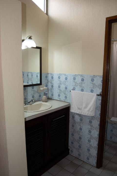 Deluxe Room | Bathroom | Shower, towels