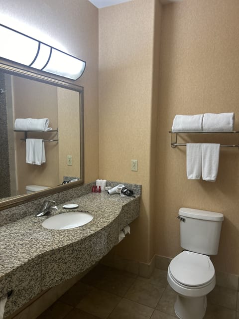 Combined shower/tub, free toiletries, hair dryer, towels