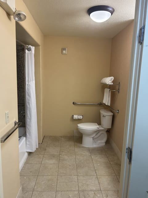 Combined shower/tub, free toiletries, hair dryer, towels