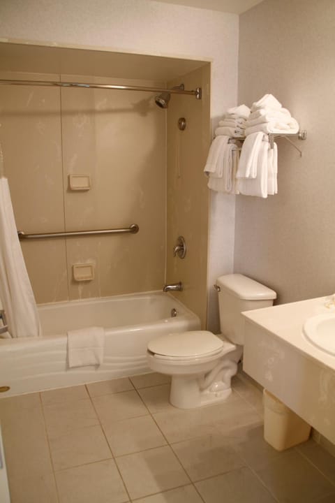 Combined shower/tub, free toiletries, hair dryer, towels