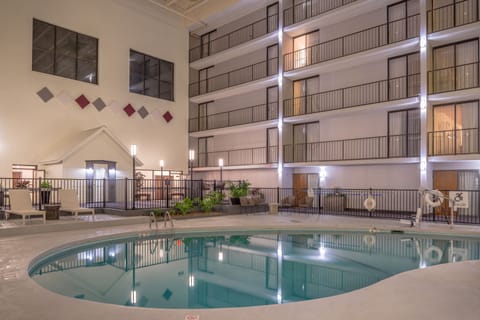 Indoor pool, sun loungers