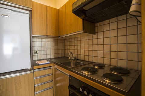 Superior Apartment, 2 Bedrooms, Balcony, Mountain View (exclusive EUR 80 cleaning fee) | Private kitchen | Fridge, stovetop, coffee/tea maker, electric kettle