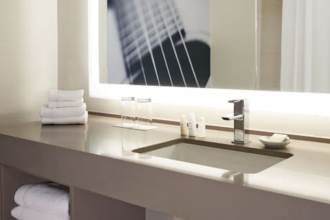 Eco-friendly toiletries, hair dryer, towels