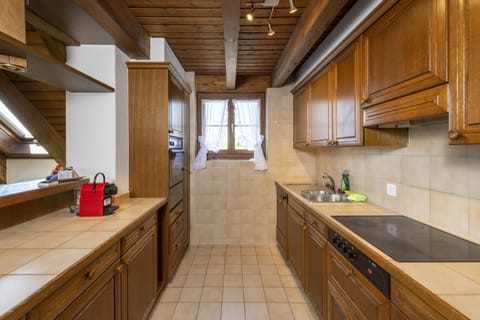  Apartment Pilatus | Private kitchen | Fridge