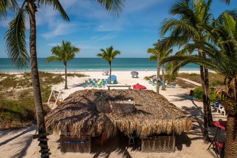 Beach Front King Suite | Beach/ocean view