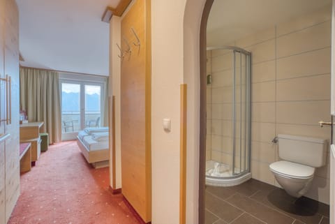 Standard Double Room, Balcony, Mountain View | Desk, soundproofing, free WiFi, bed sheets