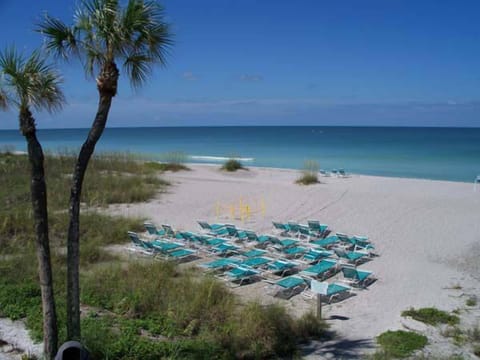 On the beach, white sand