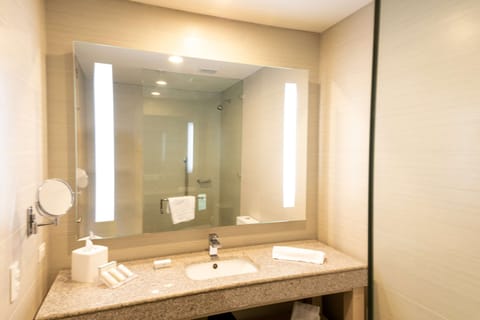 Deluxe Room, 1 King Bed | Bathroom shower