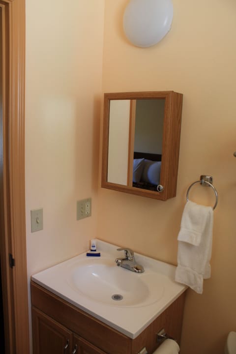 Deluxe Room, 1 King Bed | Bathroom sink