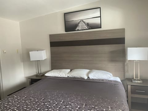 Standard Room, 1 King Bed, Refrigerator & Microwave | Individually decorated, individually furnished, desk, laptop workspace