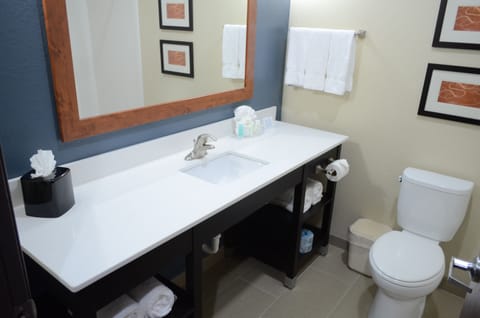 Combined shower/tub, deep soaking tub, free toiletries, hair dryer