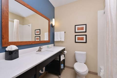 Suite, 1 Bedroom, Non Smoking (Small) | Bathroom | Combined shower/tub, deep soaking tub, free toiletries, hair dryer