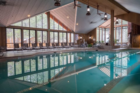 Indoor pool, sun loungers