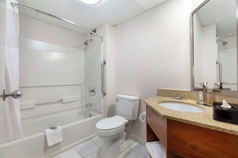 Suite, 1 King Bed, Non Smoking, Kitchenette (with Sofabed) | Bathroom | Combined shower/tub, eco-friendly toiletries, hair dryer, towels