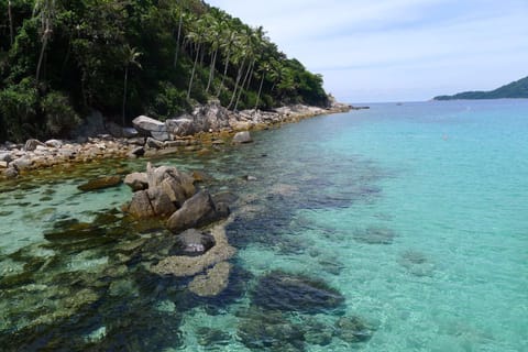 On the beach, sun loungers, beach massages, snorkeling