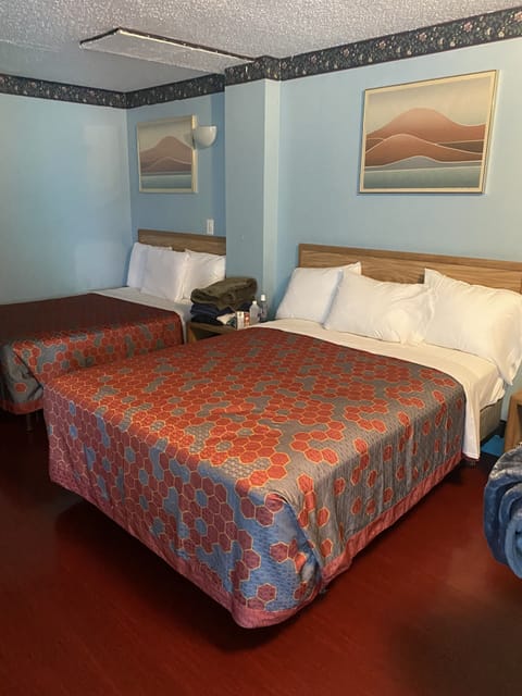 Basic Double or Twin Room | Blackout drapes, free WiFi