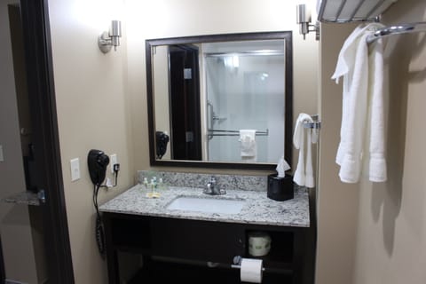 Combined shower/tub, free toiletries, hair dryer, towels