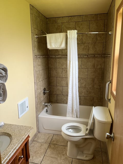 Standard Single Room, 1 Queen Bed | Bathroom | Combined shower/tub, free toiletries, hair dryer, towels