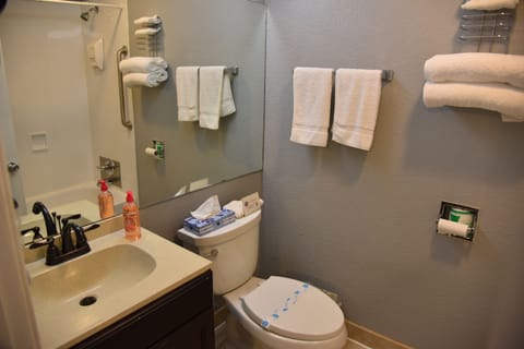 Standard Room, 1 Queen Bed | Bathroom | Bathtub, hair dryer, towels