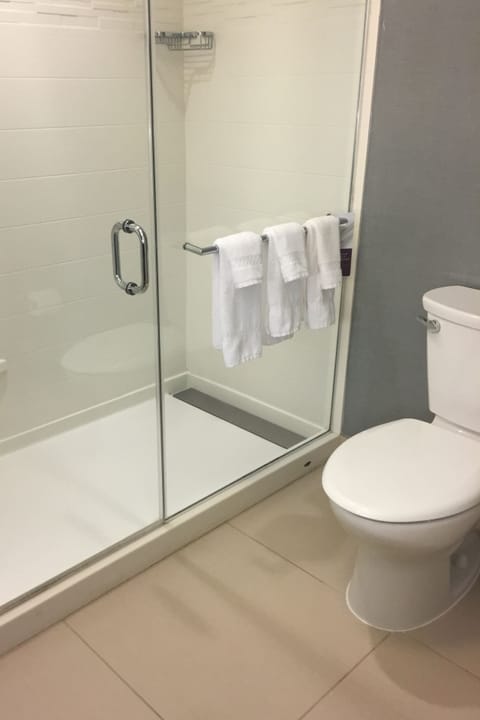 Separate tub and shower, hair dryer, towels