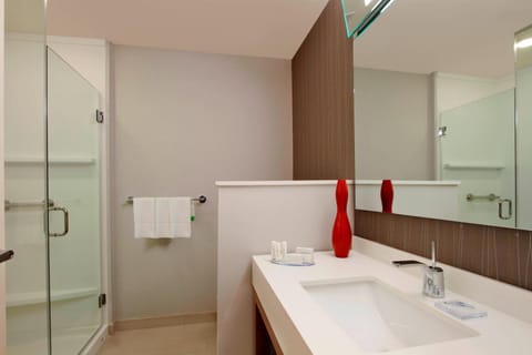 Combined shower/tub, hair dryer, towels