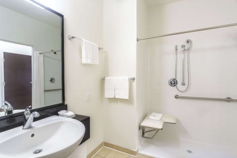 Standard Room, 1 Queen Bed, Accessible, Non Smoking | Accessible bathroom