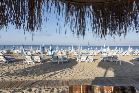 Beach nearby, sun loungers, beach umbrellas