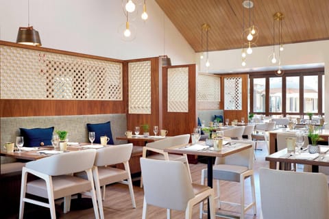 Outdoor pool, open 6 AM to 10:00 PM, pool umbrellas, sun loungers