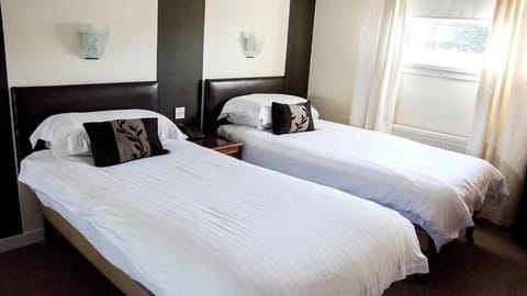 Executive Twin Room | Iron/ironing board, free WiFi, bed sheets