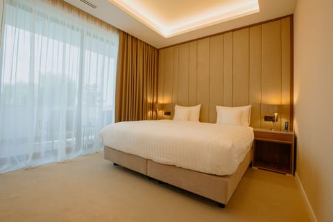 Business Double Room, Balcony | Minibar, in-room safe, desk, blackout drapes