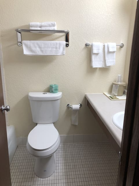 Combined shower/tub, hair dryer, towels