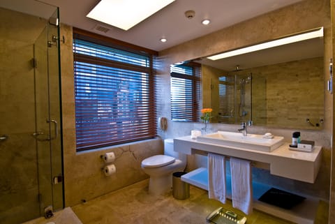 Combined shower/tub, rainfall showerhead, hair dryer, bathrobes