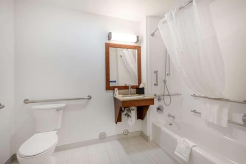 Combined shower/tub, free toiletries, hair dryer, towels