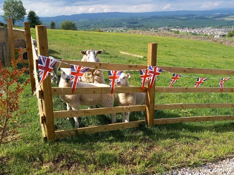 Cottage | Property grounds