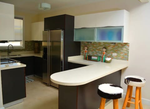 Basic Apartment | Private kitchen | Electric kettle, dining tables