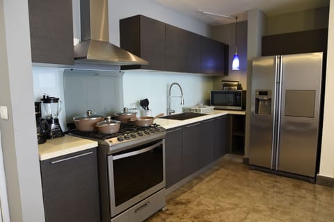 Luxury Apartment | Private kitchen | Full-size fridge, microwave, oven, espresso maker