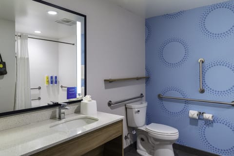 Room, 1 King Bed, Accessible (Roll-In Shower) | Bathroom | Free toiletries, hair dryer, towels