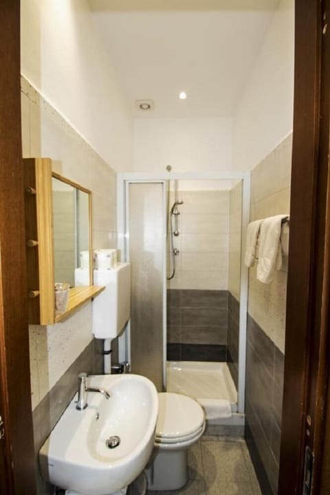 Shower, free toiletries, hair dryer, bidet