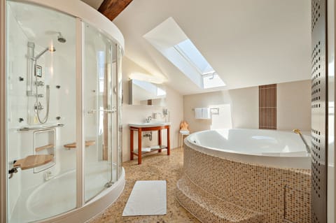 Deluxe Suite | Bathroom | Free toiletries, hair dryer, towels