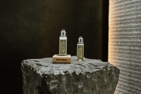 De Luxe PA | Bathroom | Shower, rainfall showerhead, hair dryer, bathrobes