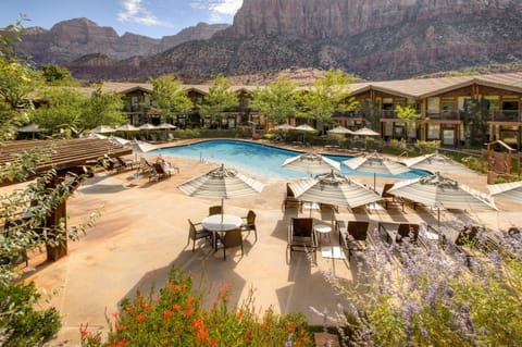 Outdoor pool, pool umbrellas, sun loungers