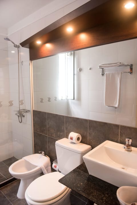 Superior Double Room, Terrace, City View | Bathroom | Shower, free toiletries, hair dryer, bidet